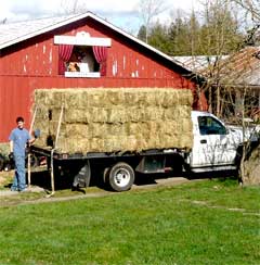 Photo of hay being delivered