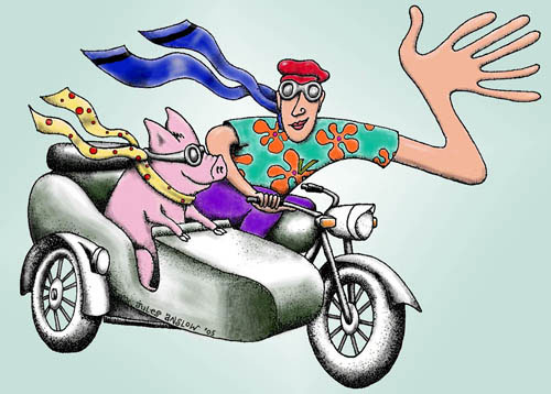 Sidecar For Pigs Peace