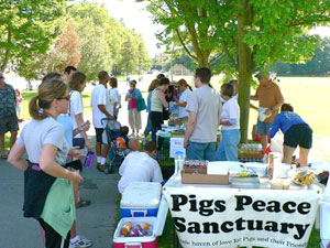 Many passerby's stopped to learn about Pigs Peace Sanctuary.