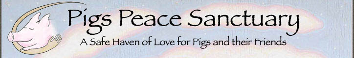 Pigs Peace Sanctuary