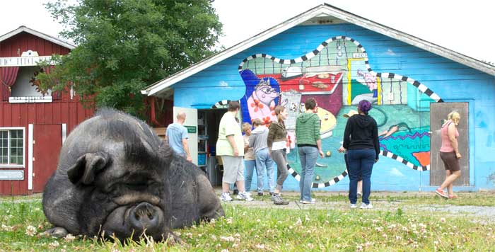 Betsy meets her new friends