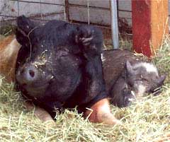 Photography by Jodi Winter