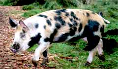 Clara explores her new home