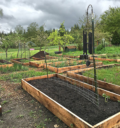 Raised garden beds