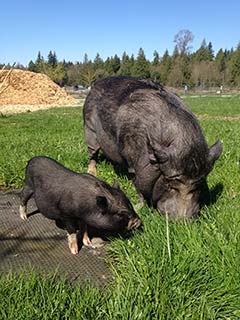 Kirby (right) welcomes Webster