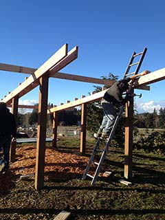 New pig barn under construction