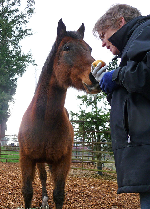 Pilgrim eating an apple from Judy's hand