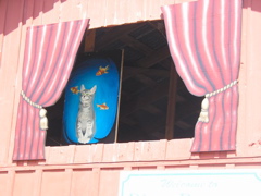 Theatre curtains and fishbowl