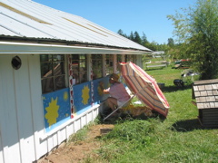 Sky artist wtih umbrella