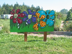 Flower faces on display