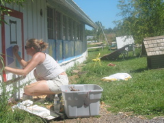 Turkey mosiac in progress