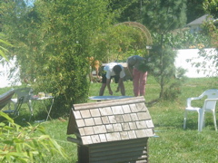 Abstract turkey in progress