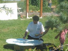 Abstract turkey artist