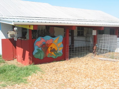 Pigs and turkeys cloud finished