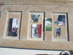 Arranging door images