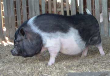 Carmelita arrives at the sanctuary