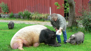 Chester enjoys a snack
