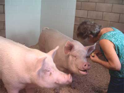 Ramona's first taste of peanutbutter